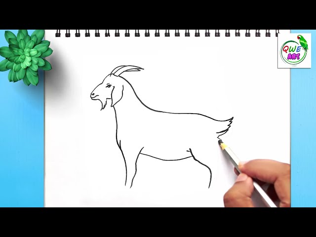 Baby Goat Coloring Page To Color, Baby Drawing, Ring Drawing, Goat Drawing  PNG Transparent Image and Clipart for Free Download
